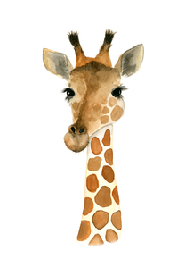 Giraffe | Жираф
