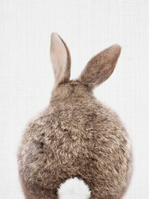 Rabbit (Коллекция постеров) | Кролик