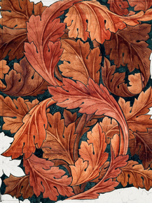 William Morris | Уильям Моррис