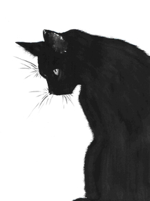 Cat | Кот