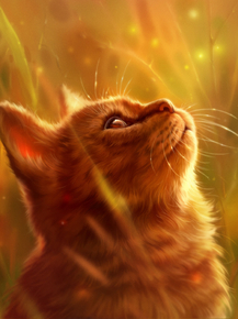 Cat | Кот