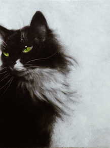 Cat | Кот