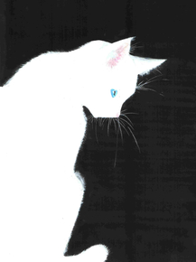 Cat | Кот