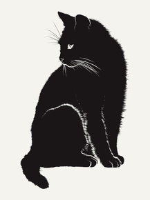 Cat | Кот