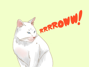 Cat: Rrrroww! | Кот