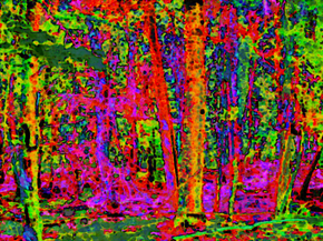 Psychedelic | Психоделический