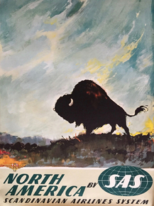 North America SAS | Северная Америка