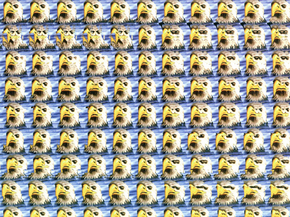 Stereo image | Стереокартинка