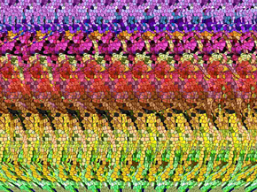 Stereo image | Стереокартинка