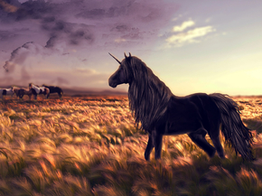 Unicorn | Единорог