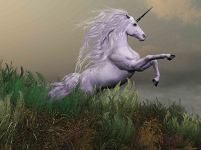 Unicorn | Единорог
