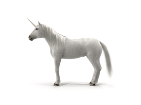 Unicorn | Единорог