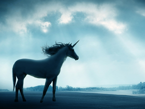 Unicorn | Единорог