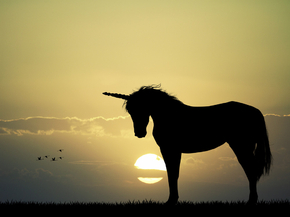 Unicorn | Единорог