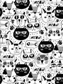 Cat | Кот