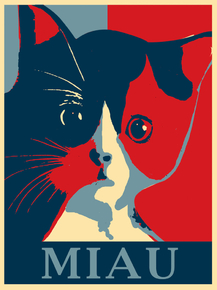 Cat | Кот | MIAU
