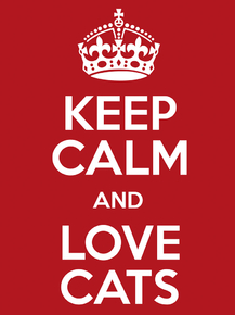 Cat | Кот | Keep Calm