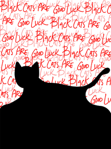 Cat black | Черный кот