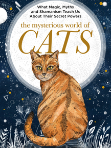 Cat | Кот | Mysterious world