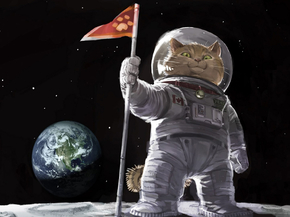 Cat Space | Кот в космосе