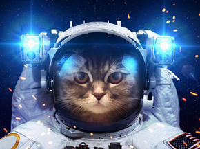 Cat Space | Кот в космосе