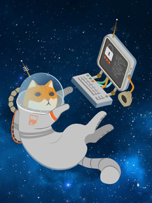 Cat Space | Кот в космосе