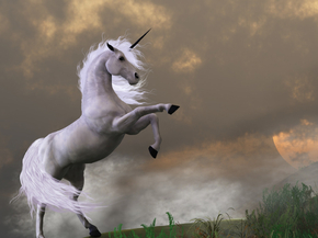 Unicorn | Единорог