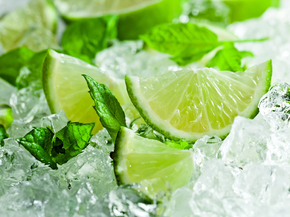 Lime and Ice | Лайм и лёд