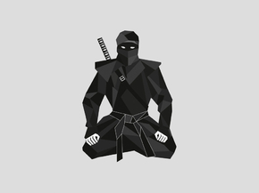 Ninja | Ниндзя