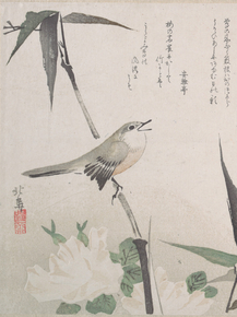 Japanese | Японский