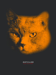 Cat | Кот