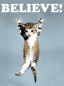 Cat | Кот | Believe