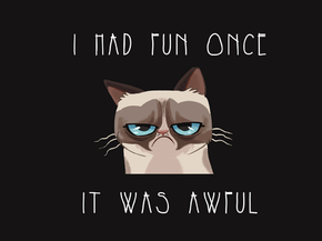 Mems | I Had Fun Once It Was Awful