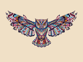 Owl | Сова