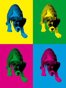 Colors | Собака
