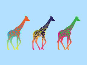 Giraffes | Жирафы