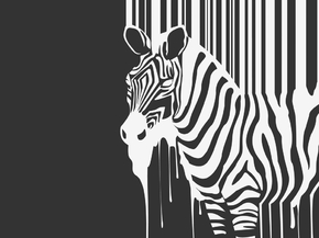 Zebra | Зебра