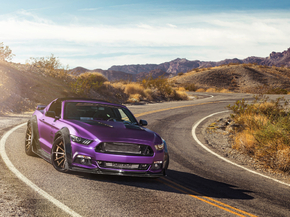 Ford Mustang | Форд Мустанг