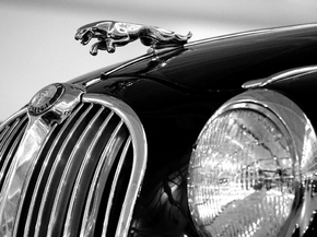 Jaguar | Ягуар