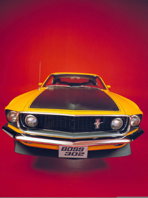 Ford Mustang Boss | Форд Мустанг