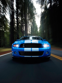 Ford Shelby GT500 | Форд Шелби