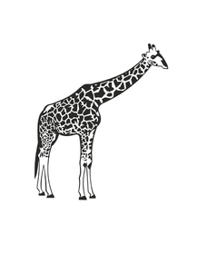 Minimal: giraffe | Жираф
