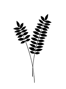 Minimal: plant | Растение