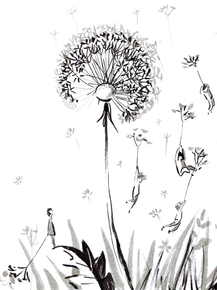 Illustration | Одуванчик