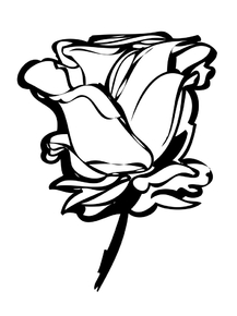 Minimal: Rose | Роза