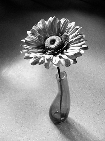 Flowers | Цветы