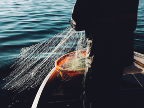Fishing | Рыбалка