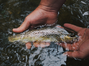 Fishing | Рыбалка