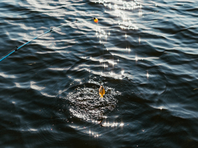 Fishing | Рыбалка