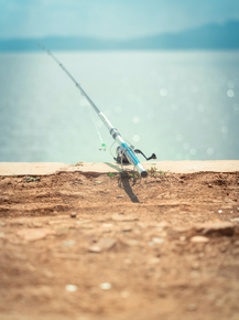 Fishing | Рыбалка
